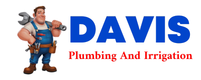 Trusted plumber in REGAN